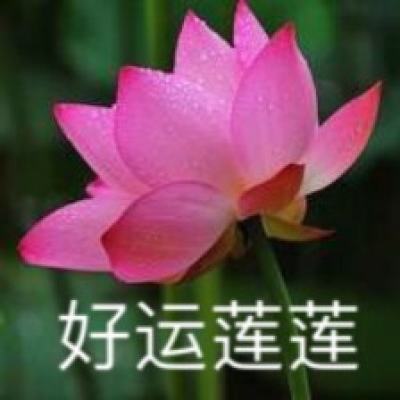江西省九江市人民政府原党组成员、副市长彭敏被开除党籍